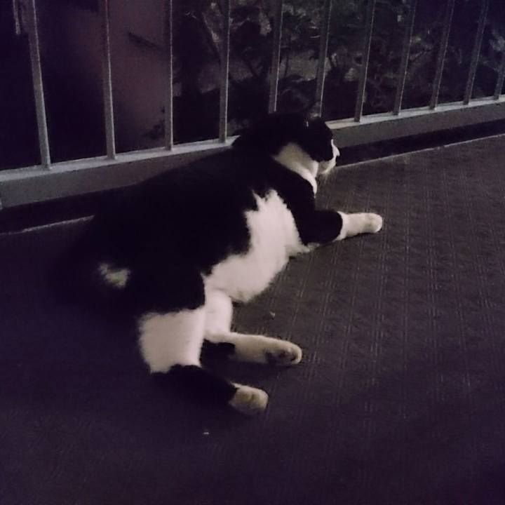 Da7a29f1 2ea1 4018 a20b 1d1126dd44c5