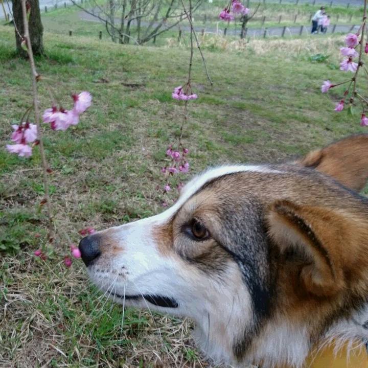 Da7a84d0 4965 4751 92d9 b7cbdde1adb2