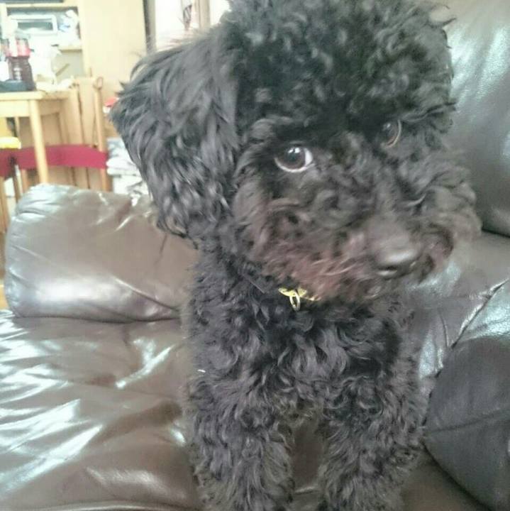 Da7ad299 13bf 4d40 9969 4353cab10d5f