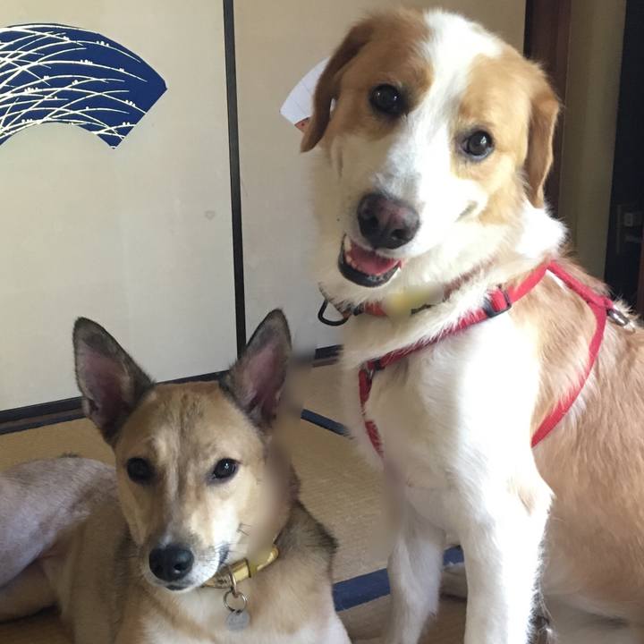 Da7b5bdb 4135 4009 8eb0 6e2c8033dd56