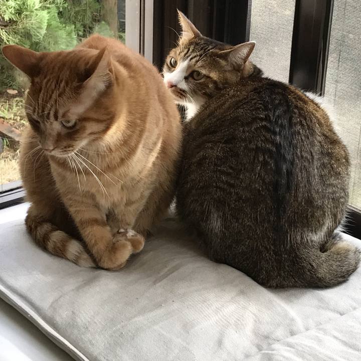 Da7bb445 d063 4963 8067 a226e7b85aaf