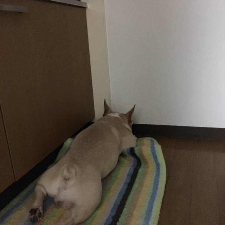 Da7bbabb 5023 4b22 a882 26fd4e3d2b86