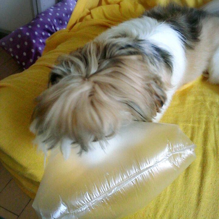 Da7c5cc7 adce 4e44 8eca 07fbfb3226ef