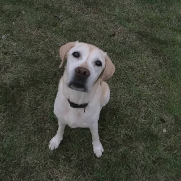 Da7c97f2 3c97 4e11 bf8e b2c11ac6bfdf