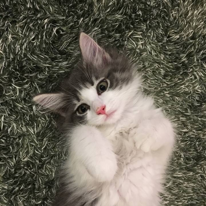 Da7cbbd2 007a 4db5 9e85 0a4dd3aead86