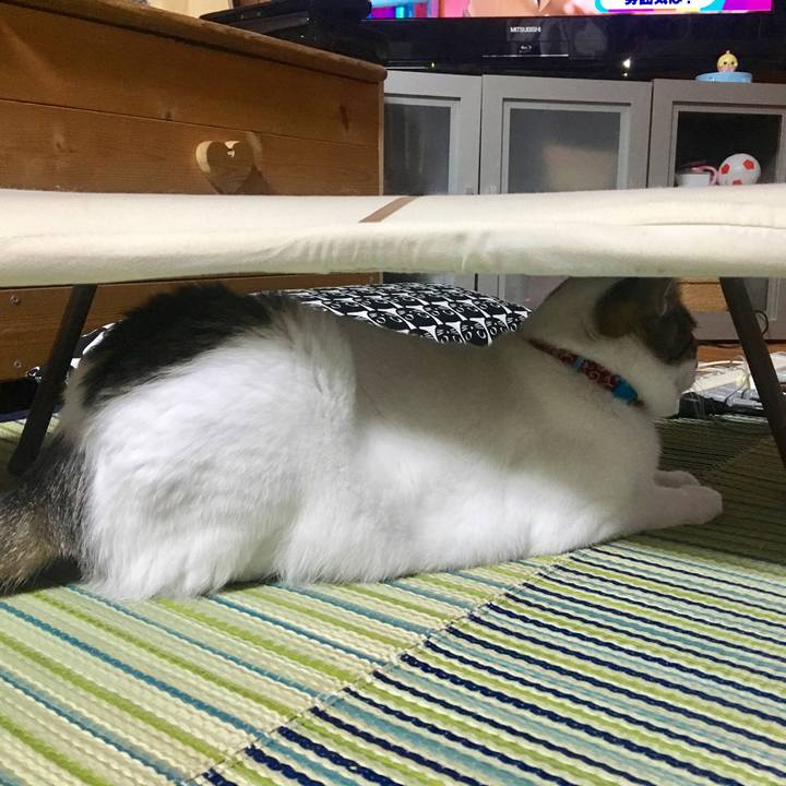 Da7d07c7 3e20 4ce5 9419 5bd23a388ee3