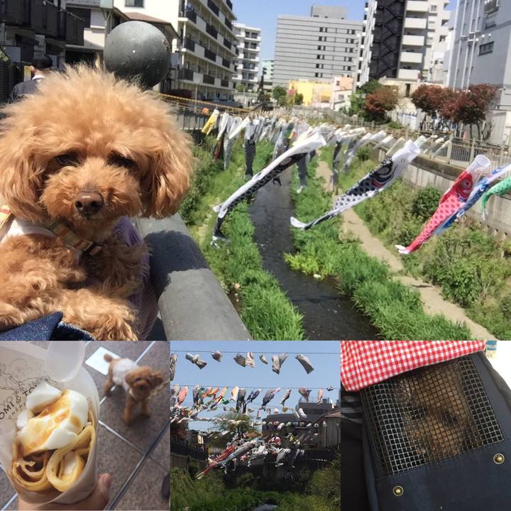 Da7d9803 ae8a 4e15 a970 96914f368f03