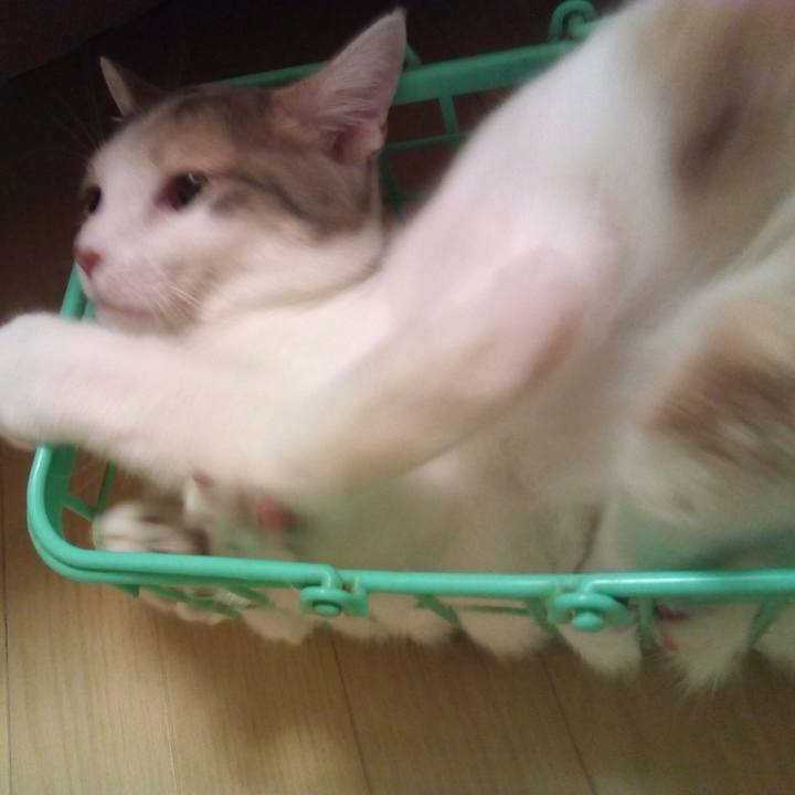 Da7de843 43c2 4d57 b31b 712d7caf27bd