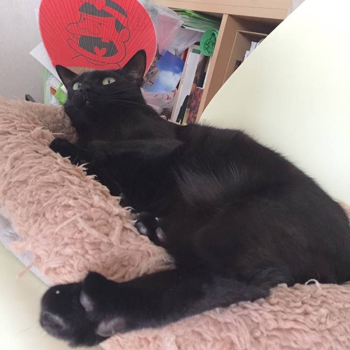 Da7e33fe b1c4 409a 9ef2 272a5604fbb0