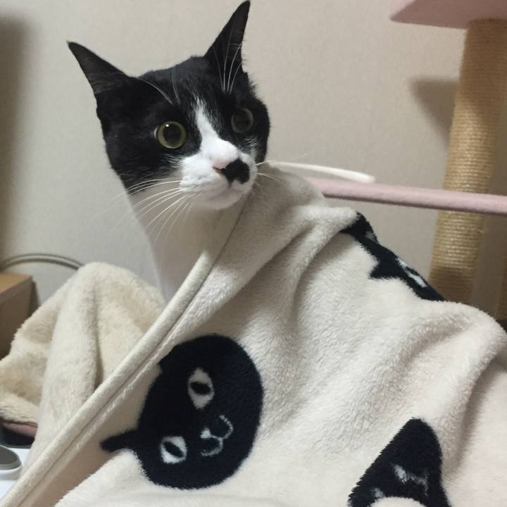 Da7e7d98 641a 474c bca4 506fcb094d0a