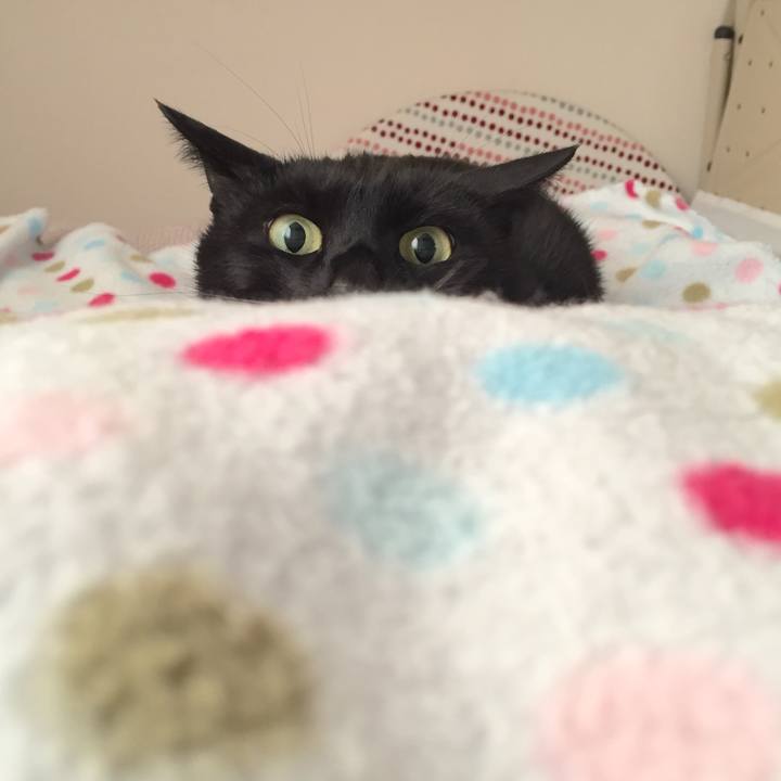 Da7e9e14 4b90 4625 b52f 7817da69ffd6