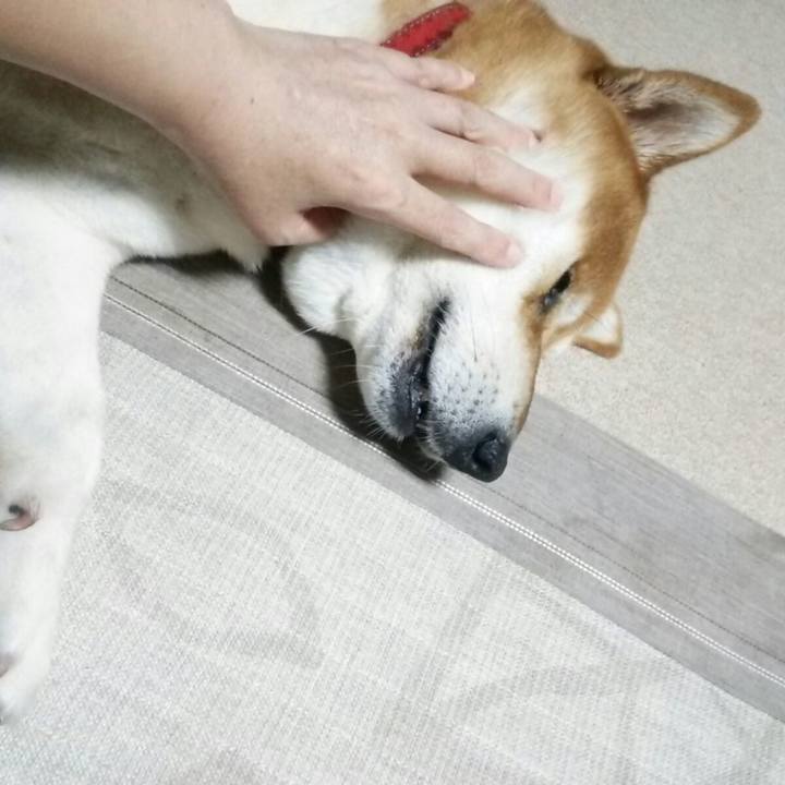 Da7efbdb 67ca 4e36 b429 ee07a24ab388