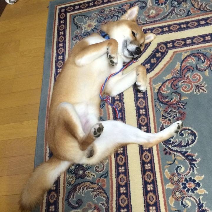 Da7f404d a6c3 4738 a94d 035b0ab98d75