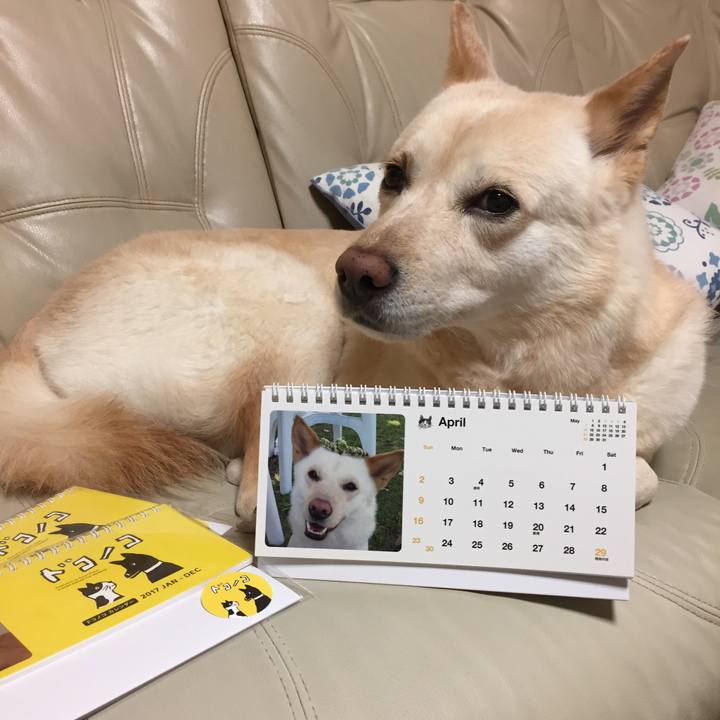 Da7f6710 1dd9 4d05 b07b 4f84cfa8e5e0