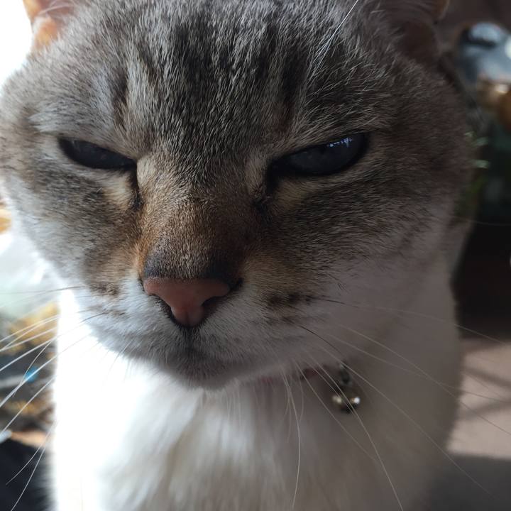 Da7fc52e 4561 4032 94f4 8d5f6e7909b8