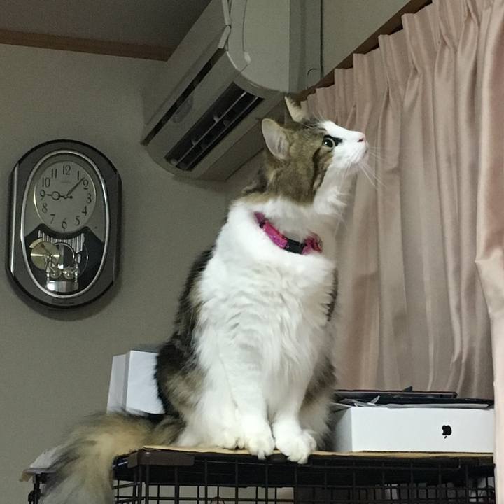 Da8006c1 3656 45e7 b2a8 5a206ffe1160