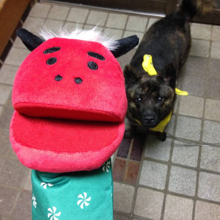 Da801126 6ad2 482e 9700 320afbb54f14