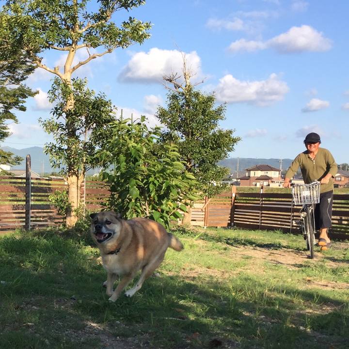 Da80191d 7b39 4f89 9496 c8e9837f215d