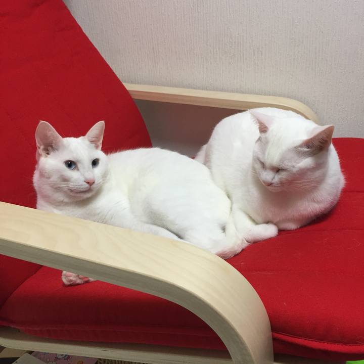 Da805272 7cff 4cbb aeb9 58a3030e6880