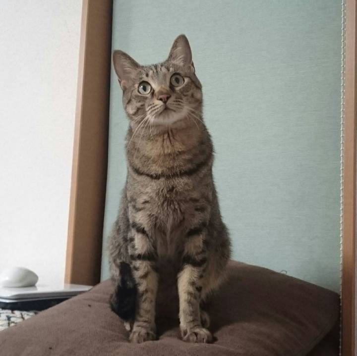 Da807f88 9269 4fff 99aa 0db3df95f5a1