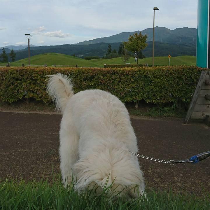 Da80cabb 65d9 4033 895f b09599f5e86e