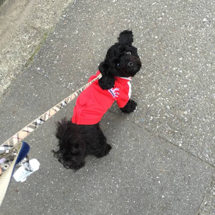 Da81cae0 ea6e 4634 8e20 1c3df06aed64