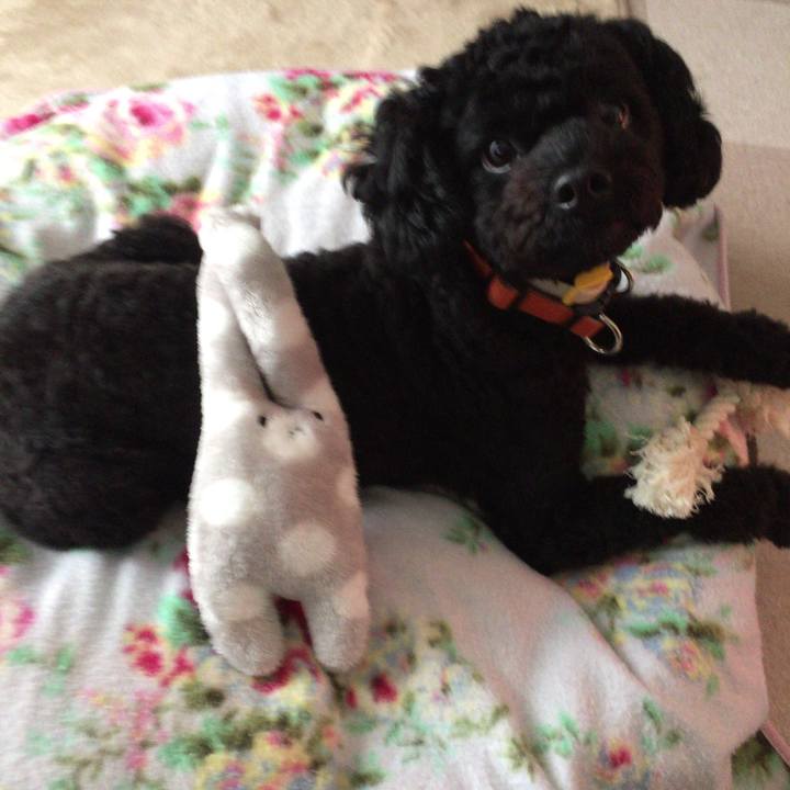 Da836224 6e5a 451d ab95 38acb2edaeef