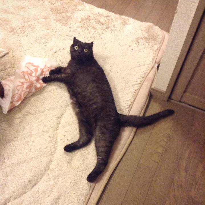 Da838ab2 3097 4d96 b782 54f07de2a638