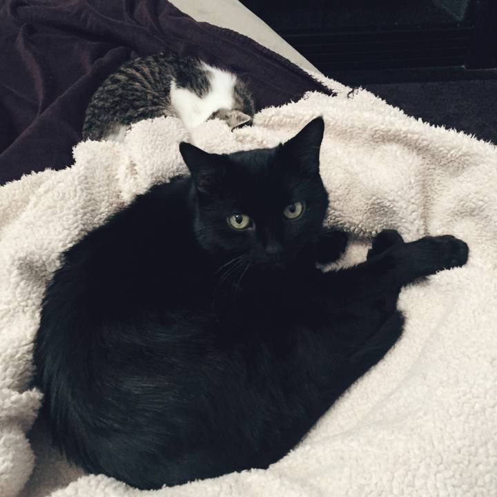 Da83b4c0 f9a5 4e51 9f3b 731b44a857b1