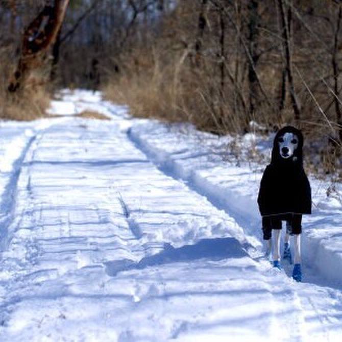 Da83dc02 7b0a 46ad 92ea 57e15140ce8e