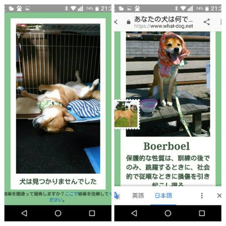 Da842f72 b4bb 4c05 98b5 d87d28dacb2a