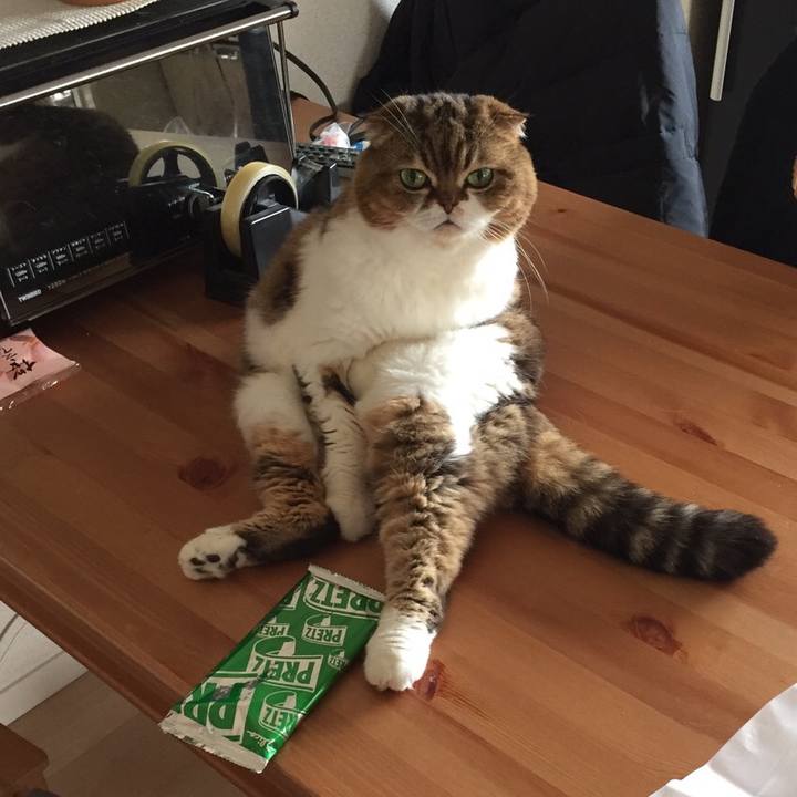 Da84b9f1 f848 4cb7 8665 1857d1f0a24a