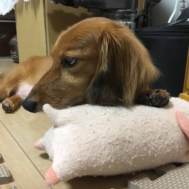 Da84d8ad 4e12 44b4 9996 622fcf706dc5