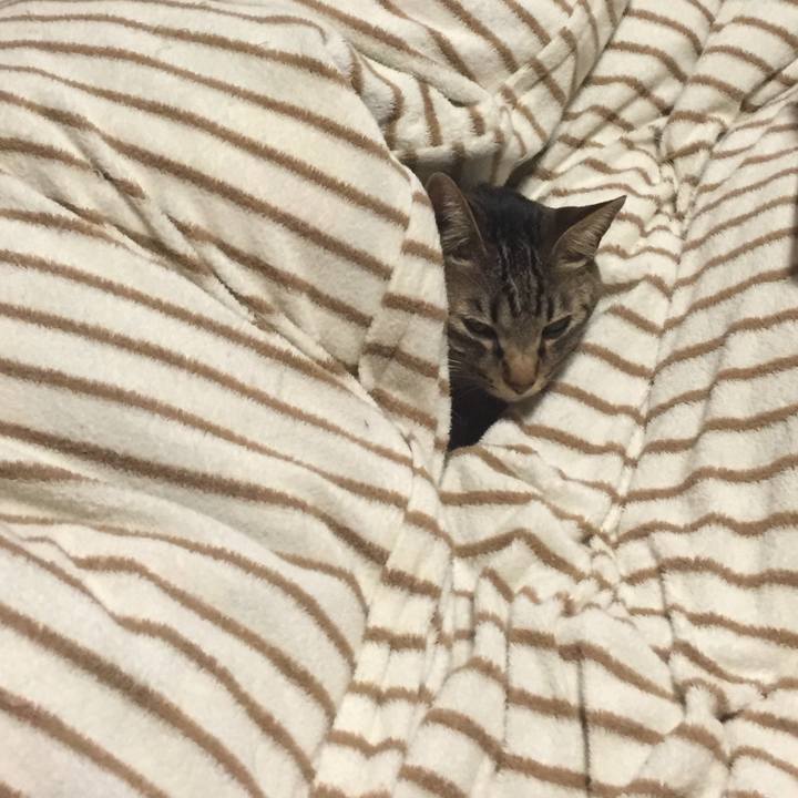 Da84db4b 01df 4385 a8e3 d8c6ab794f92