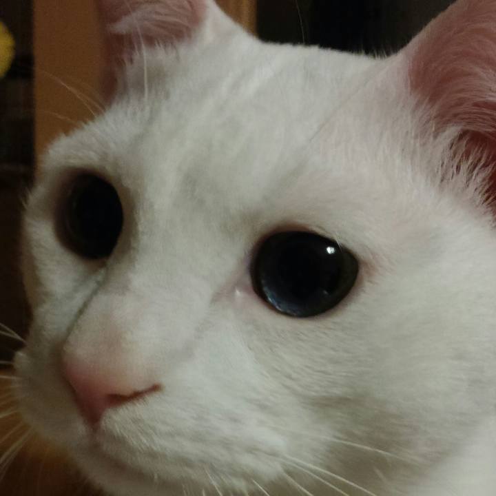 Da857dd9 1362 49d3 9b71 2850edafdd3d