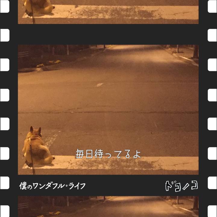 Da85b0c5 d2a0 4442 902d 0046eb447480