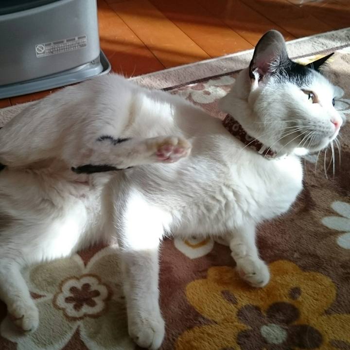 Da881b63 e7a6 42e7 8687 81d66bea8a6d