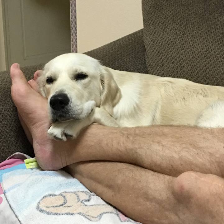 Da895f72 3142 4fbb 9435 cf06da06fbd4