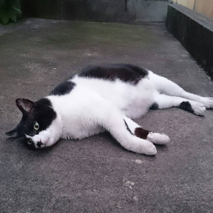 Da89eb2c 762d 4111 972e a61d86138951