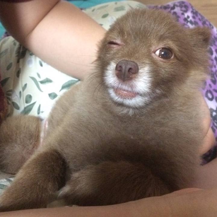 Da8a2145 ec47 4435 8712 65f6ef21db9f