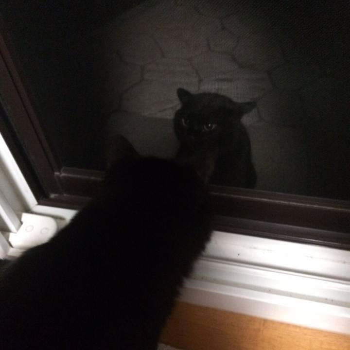 Da8a4ab2 8231 41ea b4da a72bbd451906