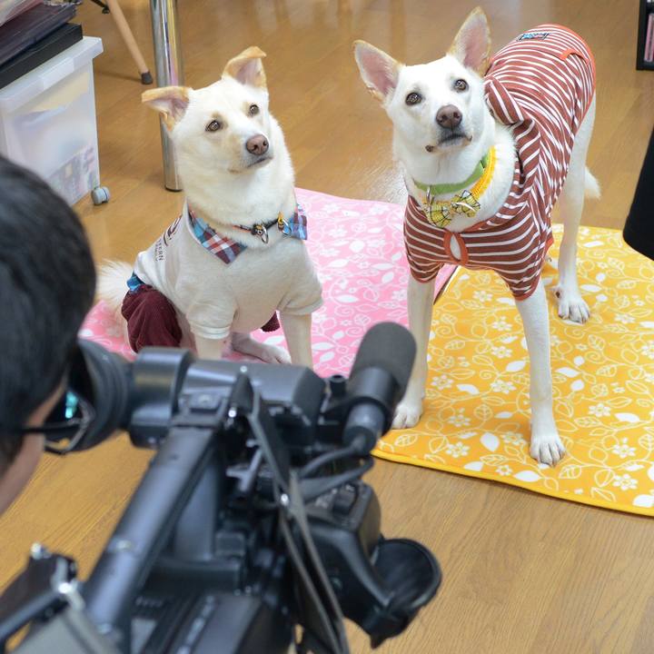 Da8a5f9d 0c71 42a4 a8aa 15801c897de2