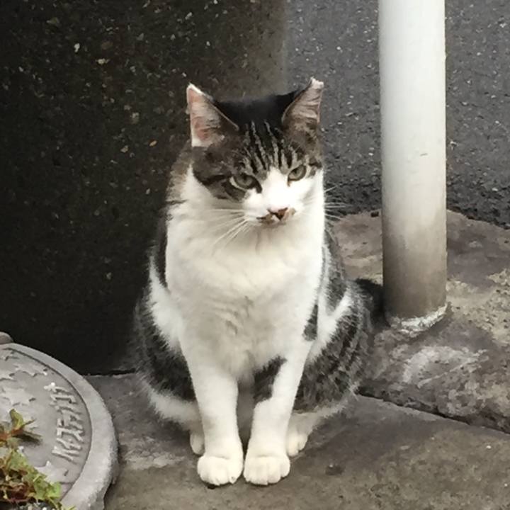 Da8a9c2b 8060 4878 bd41 968be565457b