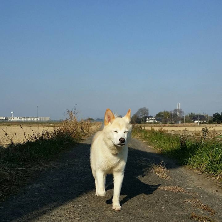 Da8c9d6f 5999 4762 afc9 67dee677cf53