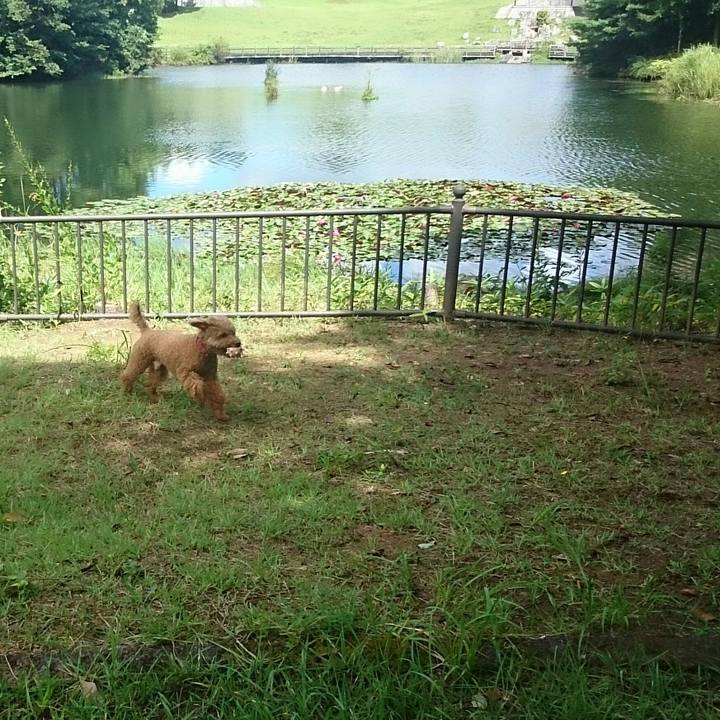 Da8ce1e7 70ac 4134 b8e5 30d9515106df