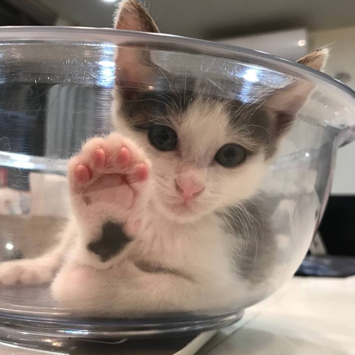 Da8d43f9 a05b 4c28 8578 0330324bab72