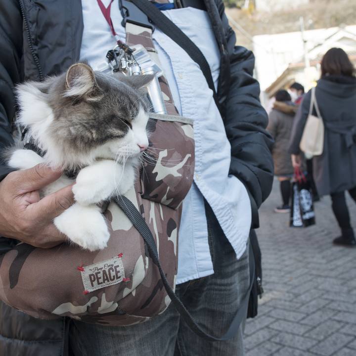 Da8d8795 9341 4dd6 b522 63d928270550