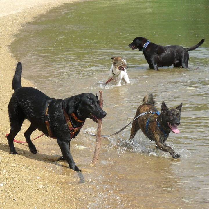 Da8e1215 f850 4bf1 b2b0 573f18eefa5b