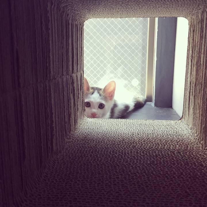 Da8e8d16 aa75 4413 9e36 84d66e1905c1