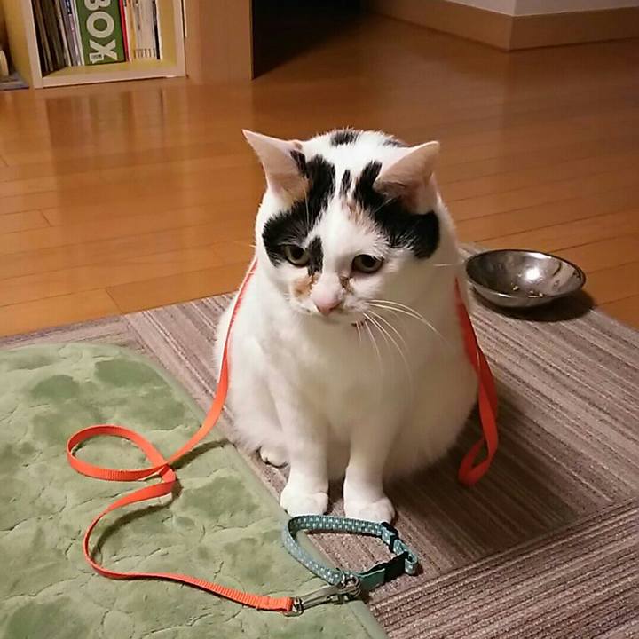 Da8fbc96 a42b 403a 9eec b79b1045bd8d